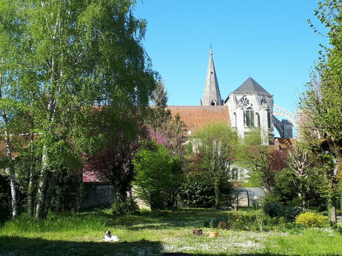 Saint-Eusebe Mansion - Hotel Particulier St-Eusebe Auxerre Eksteriør bilde